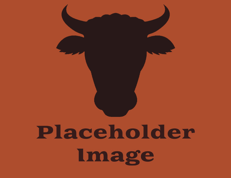 Placeholder-sliding-box